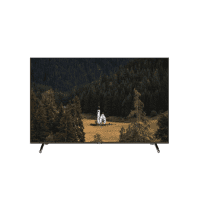 ტელევიზორი   SUNNY 65'' (SN65FIL252) WebOS TV