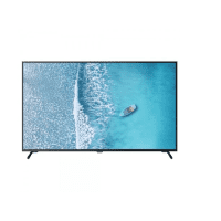 ტელევიზორი   SUNNY 55'' (SN55FIL252/0276) WebOS TV